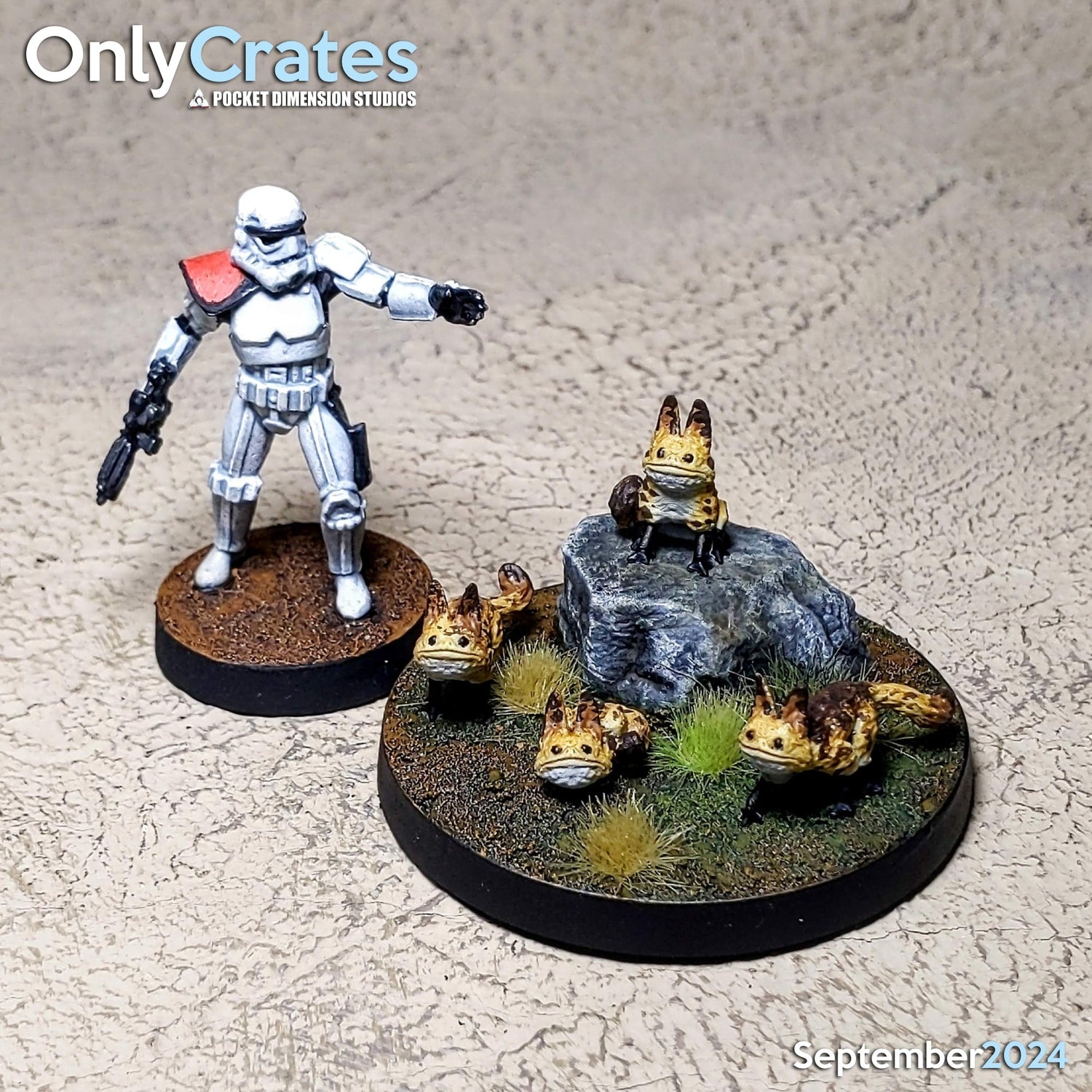 Objective Markers