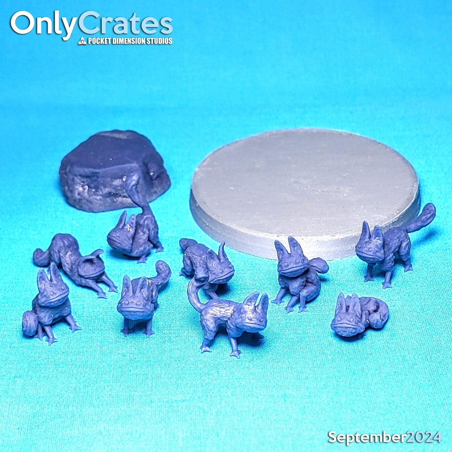 The Sloth Cats POI Token