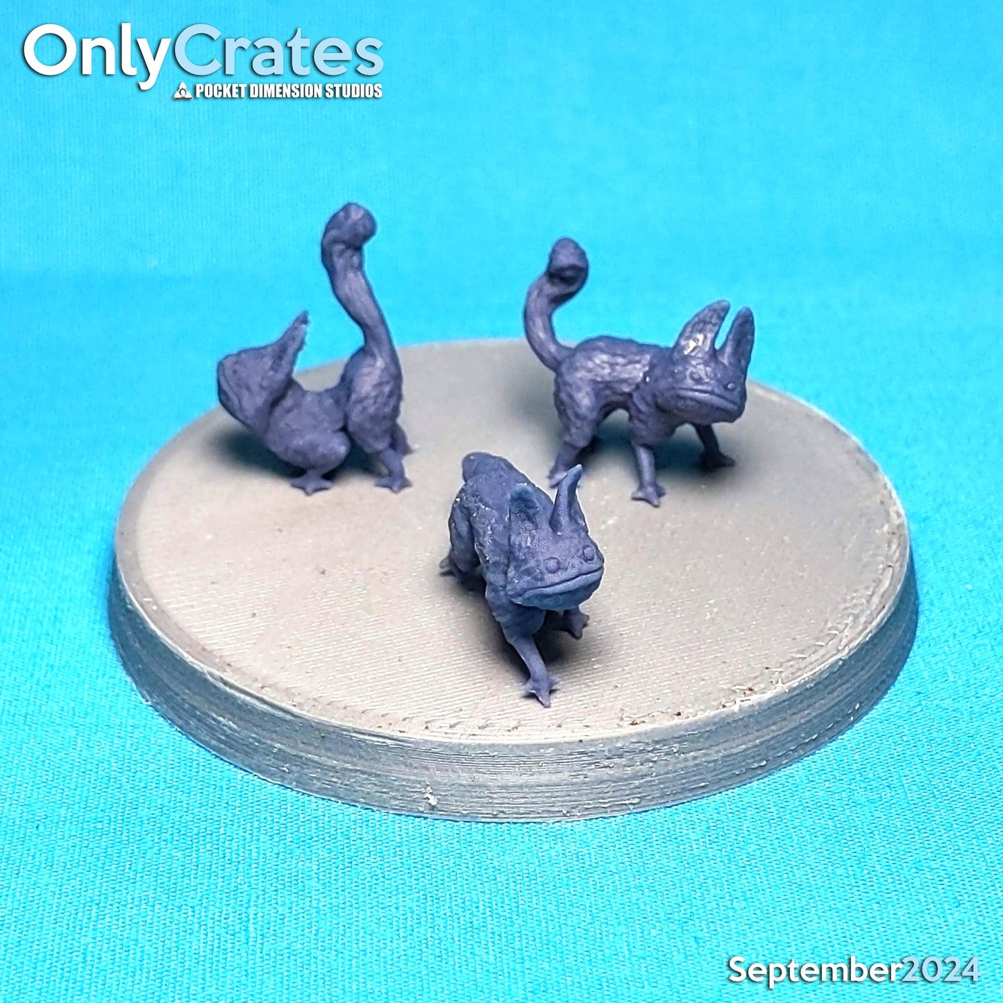 The Sloth Cats POI Token